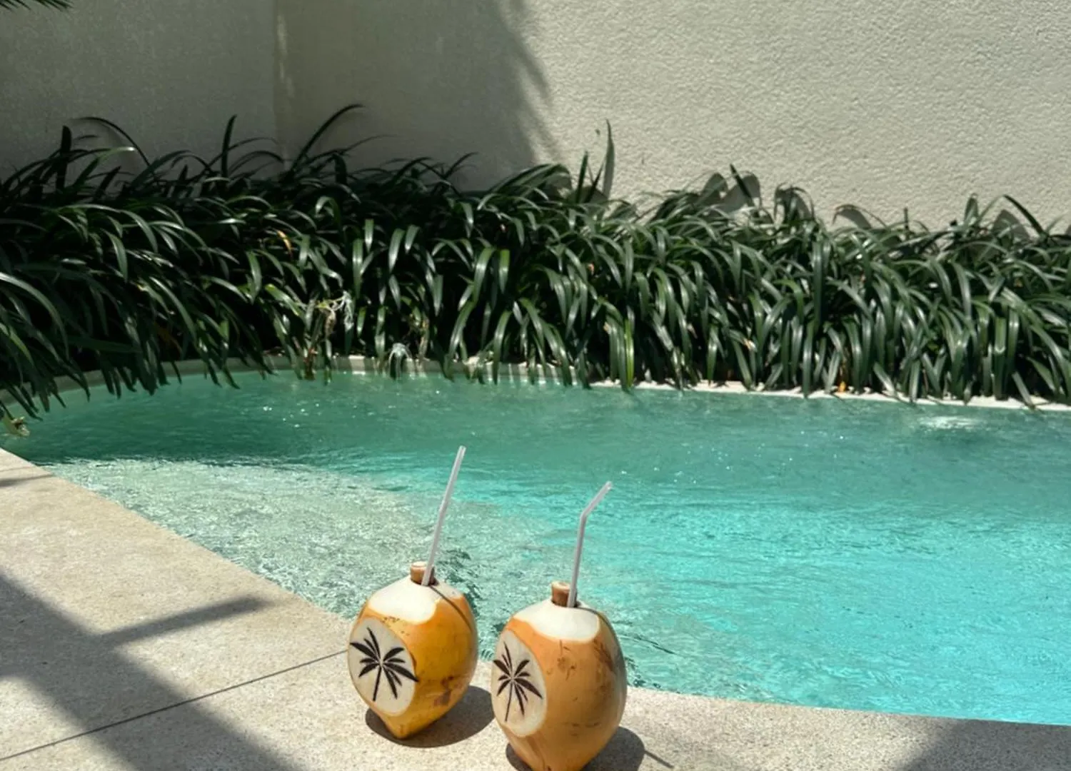 Villa Agua Dream Canggu Hideaway Indonesia